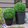 Leafly™ | Kunststoff-Grasball