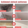 MoldOff™ - Schimmelentferner-Gel
